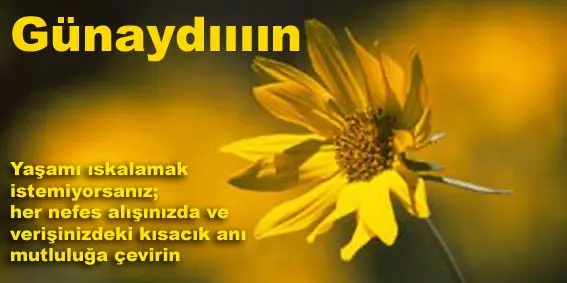 Günaydın İyi Sabahlar Mesajları Sözleri